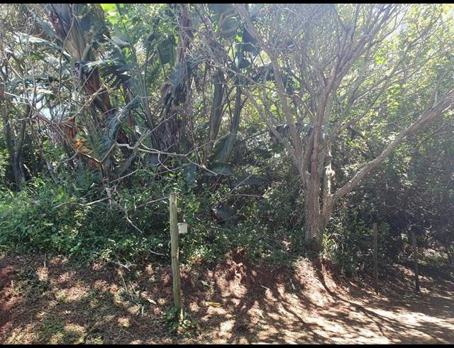 LAND FOR SALE IN PUMULA